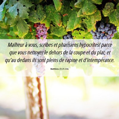 Picture 06 - Matthieu 23:25 LSG - Malheur à vous, scribes et pharisiens - Bible Verse Picture