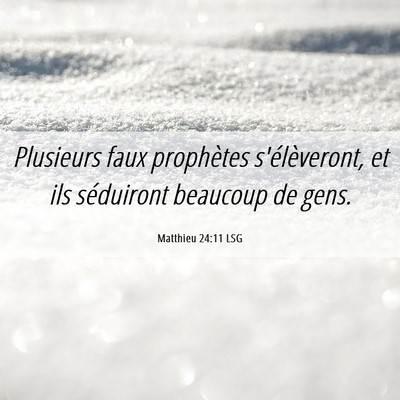 Picture 06 - Matthieu 24:11 LSG - Plusieurs faux prophètes s'élèveront, et ils - Bible Verse Picture