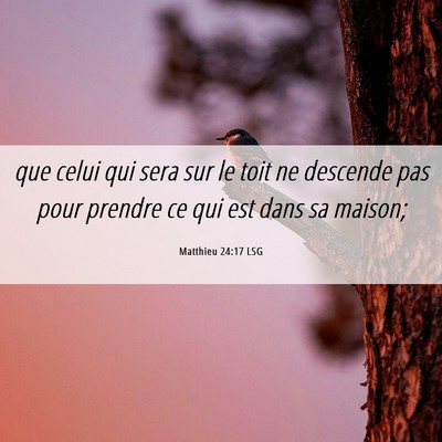 Picture 06 - Matthieu 24:17 LSG - que celui qui sera sur le toit ne descende pas - Bible Verse Picture