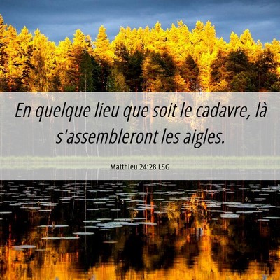 Picture 06 - Matthieu 24:28 LSG - En quelque lieu que soit le cadavre, là - Bible Verse Picture