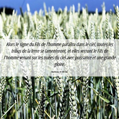 Picture 06 - Matthieu 24:30 LSG - Alors le signe du Fils de l'homme paraîtra dans - Bible Verse Picture
