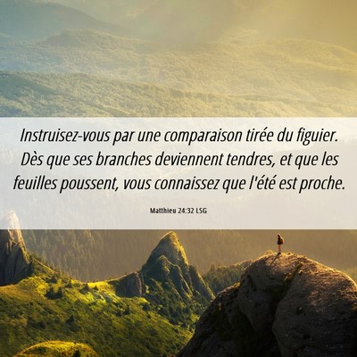 Picture 06 - Matthieu 24:32 LSG - Instruisez-vous par une comparaison tirée du - Bible Verse Picture