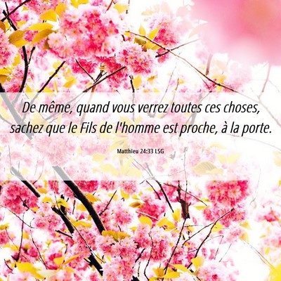 Picture 06 - Matthieu 24:33 LSG - De même, quand vous verrez toutes ces choses, - Bible Verse Picture