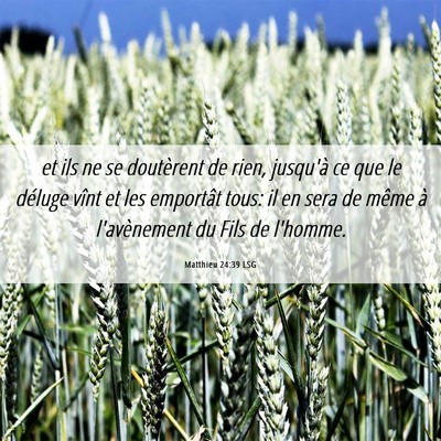 Picture 06 - Matthieu 24:39 LSG - et ils ne se doutèrent de rien, jusqu'à ce que - Bible Verse Picture