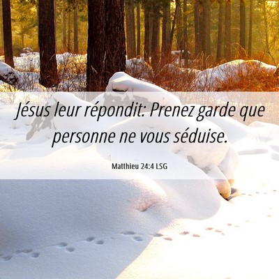 Picture 06 - Matthieu 24:4 LSG - Jésus leur répondit: Prenez garde que personne - Bible Verse Picture