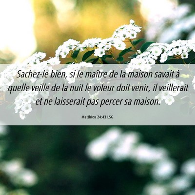 Picture 06 - Matthieu 24:43 LSG - Sachez-le bien, si le maître de la maison savait - Bible Verse Picture