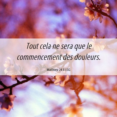Picture 06 - Matthieu 24:8 LSG - Tout cela ne sera que le commencement des - Bible Verse Picture