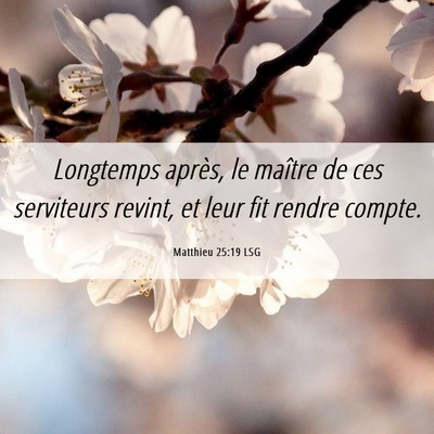 Picture 06 - Matthieu 25:19 LSG - Longtemps après, le maître de ces serviteurs - Bible Verse Picture