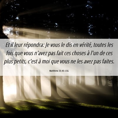 Picture 06 - Matthieu 25:45 LSG - Et il leur répondra: Je vous le dis en vérité, - Bible Verse Picture