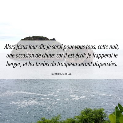 Picture 06 - Matthieu 26:31 LSG - Alors Jésus leur dit: Je serai pour vous tous, - Bible Verse Picture