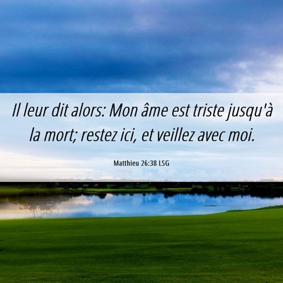 Picture 06 - Matthieu 26:38 LSG - Il leur dit alors: Mon âme est triste jusqu'à - Bible Verse Picture