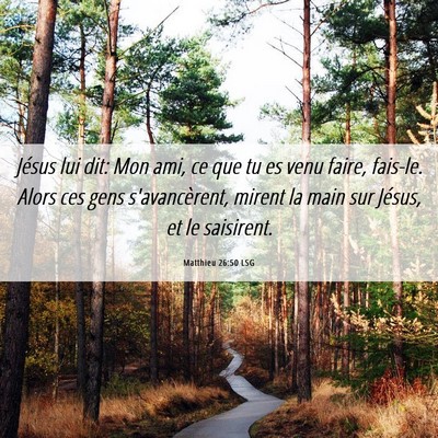 Picture 06 - Matthieu 26:50 LSG - Jésus lui dit: Mon ami, ce que tu es venu faire, - Bible Verse Picture