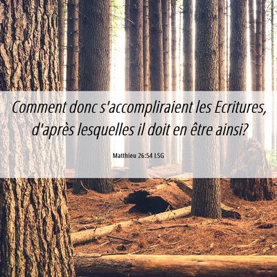 Picture 06 - Matthieu 26:54 LSG - Comment donc s'accompliraient les Ecritures, - Bible Verse Picture