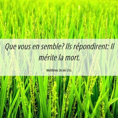 Picture 06 - Matthieu 26:66 LSG - Que vous en semble? Ils répondirent: Il mérite - Bible Verse Picture