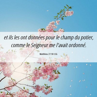 Picture 06 - Matthieu 27:10 LSG - et ils les ont données pour le champ du potier, - Bible Verse Picture