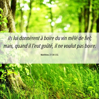 Picture 06 - Matthieu 27:34 LSG - ils lui donnèrent à boire du vin mêlé de - Bible Verse Picture