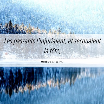 Picture 06 - Matthieu 27:39 LSG - Les passants l'injuriaient, et secouaient la - Bible Verse Picture