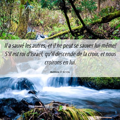 Picture 06 - Matthieu 27:42 LSG - Il a sauvé les autres, et il ne peut se sauver - Bible Verse Picture