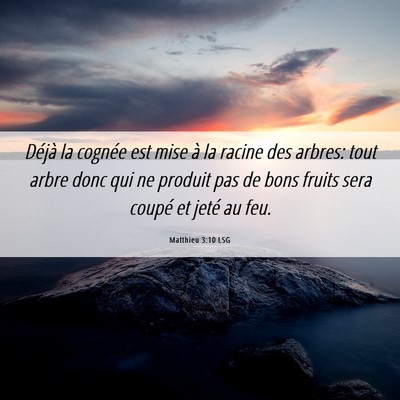 Picture 06 - Matthieu 3:10 LSG - Déjà la cognée est mise à la racine des - Bible Verse Picture