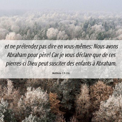Picture 06 - Matthieu 3:9 LSG - et ne prétendez pas dire en vous-mêmes: Nous - Bible Verse Picture