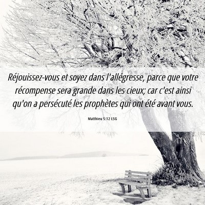 Picture 06 - Matthieu 5:12 LSG - Réjouissez-vous et soyez dans l'allégresse, - Bible Verse Picture