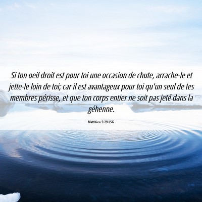 Picture 06 - Matthieu 5:29 LSG - Si ton oeil droit est pour toi une occasion de - Bible Verse Picture