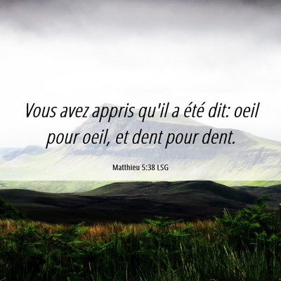 Picture 06 - Matthieu 5:38 LSG - Vous avez appris qu'il a été dit: oeil pour - Bible Verse Picture