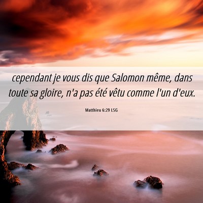 Picture 06 - Matthieu 6:29 LSG - cependant je vous dis que Salomon même, dans - Bible Verse Picture