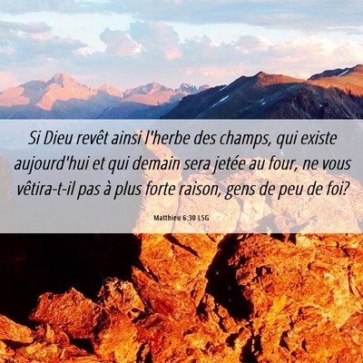 Picture 06 - Matthieu 6:30 LSG - Si Dieu revêt ainsi l'herbe des champs, qui - Bible Verse Picture