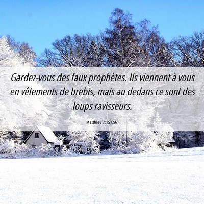 Picture 06 - Matthieu 7:15 LSG - Gardez-vous des faux prophètes. Ils viennent à - Bible Verse Picture