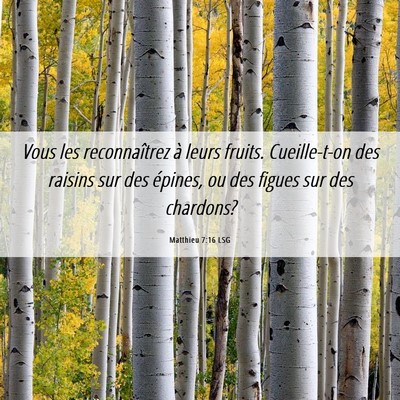 Picture 06 - Matthieu 7:16 LSG - Vous les reconnaîtrez à leurs fruits. - Bible Verse Picture