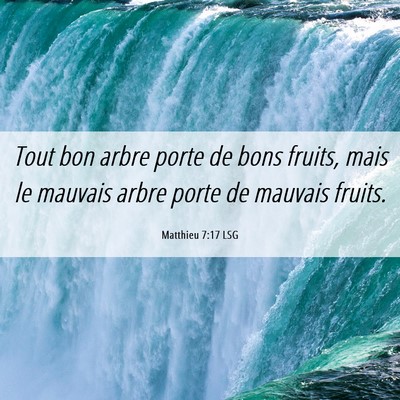 Picture 06 - Matthieu 7:17 LSG - Tout bon arbre porte de bons fruits, mais le - Bible Verse Picture