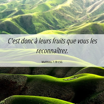 Picture 06 - Matthieu 7:20 LSG - C'est donc à leurs fruits que vous les - Bible Verse Picture