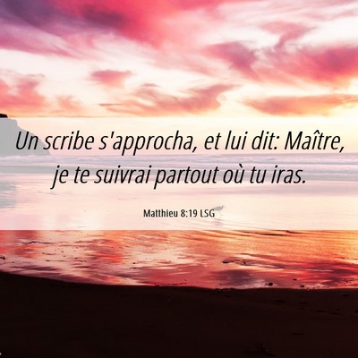 Picture 06 - Matthieu 8:19 LSG - Un scribe s'approcha, et lui dit: Maître, je te - Bible Verse Picture