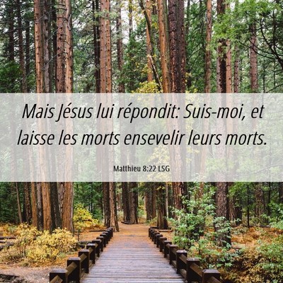 Picture 06 - Matthieu 8:22 LSG - Mais Jésus lui répondit: Suis-moi, et laisse - Bible Verse Picture