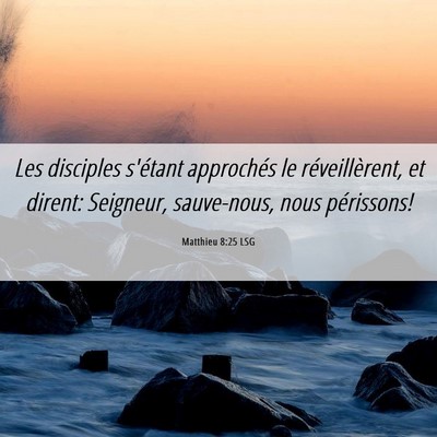 Picture 06 - Matthieu 8:25 LSG - Les disciples s'étant approchés le - Bible Verse Picture