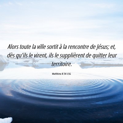 Picture 06 - Matthieu 8:34 LSG - Alors toute la ville sortit à la rencontre de - Bible Verse Picture
