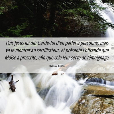 Picture 06 - Matthieu 8:4 LSG - Puis Jésus lui dit: Garde-toi d'en parler à - Bible Verse Picture