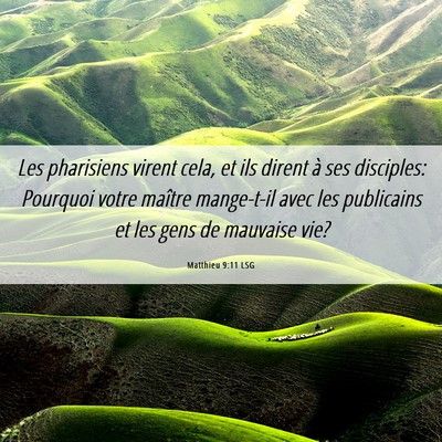 Picture 06 - Matthieu 9:11 LSG - Les pharisiens virent cela, et ils dirent à ses - Bible Verse Picture
