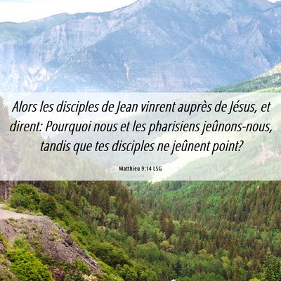 Picture 06 - Matthieu 9:14 LSG - Alors les disciples de Jean vinrent auprès de - Bible Verse Picture