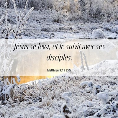 Picture 06 - Matthieu 9:19 LSG - Jésus se leva, et le suivit avec ses - Bible Verse Picture