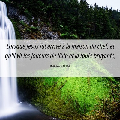 Picture 06 - Matthieu 9:23 LSG - Lorsque Jésus fut arrivé à la maison du chef, - Bible Verse Picture