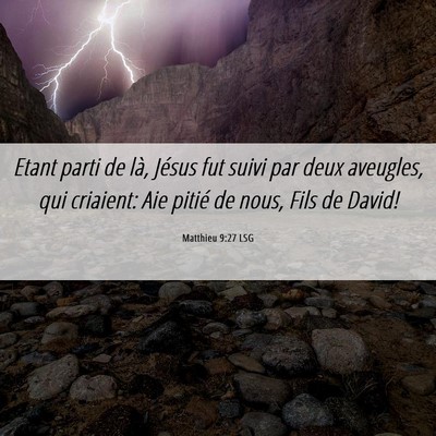 Picture 06 - Matthieu 9:27 LSG - Etant parti de là, Jésus fut suivi par deux - Bible Verse Picture