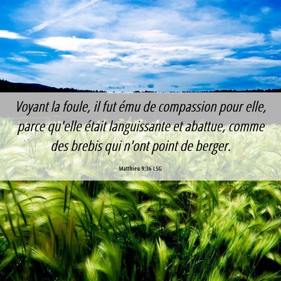 Picture 06 - Matthieu 9:36 LSG - Voyant la foule, il fut ému de compassion pour - Bible Verse Picture