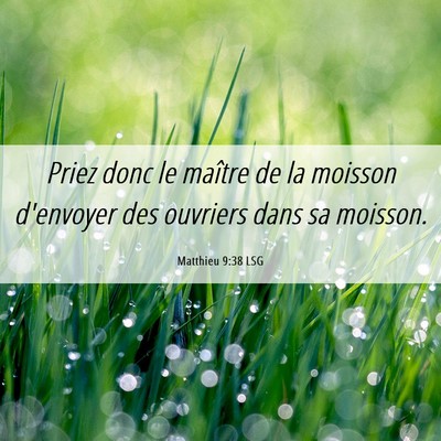Picture 06 - Matthieu 9:38 LSG - Priez donc le maître de la moisson d'envoyer des - Bible Verse Picture