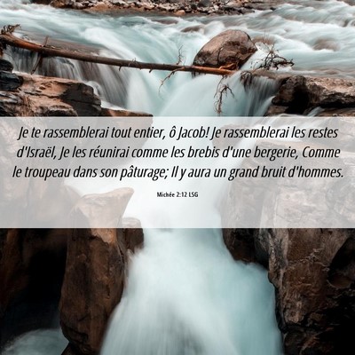 Picture 06 - Michée 2:12 LSG - Je te rassemblerai tout entier, ô Jacob! Je - Bible Verse Picture