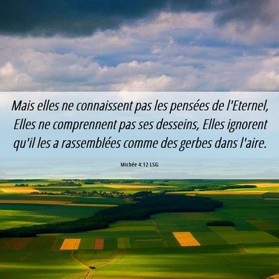 Picture 06 - Michée 4:12 LSG - Mais elles ne connaissent pas les pensées de - Bible Verse Picture
