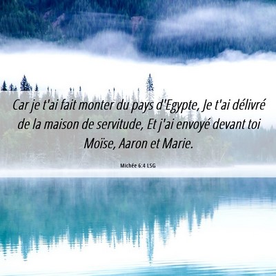 Picture 06 - Michée 6:4 LSG - Car je t'ai fait monter du pays d'Egypte, Je t'ai - Bible Verse Picture