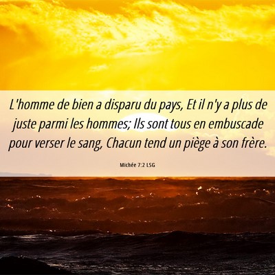 Picture 06 - Michée 7:2 LSG - L'homme de bien a disparu du pays, Et il n'y a - Bible Verse Picture