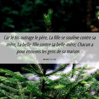 Picture 06 - Michée 7:6 LSG - Car le fils outrage le père, La fille se - Bible Verse Picture